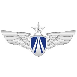 空参直工局（空军）